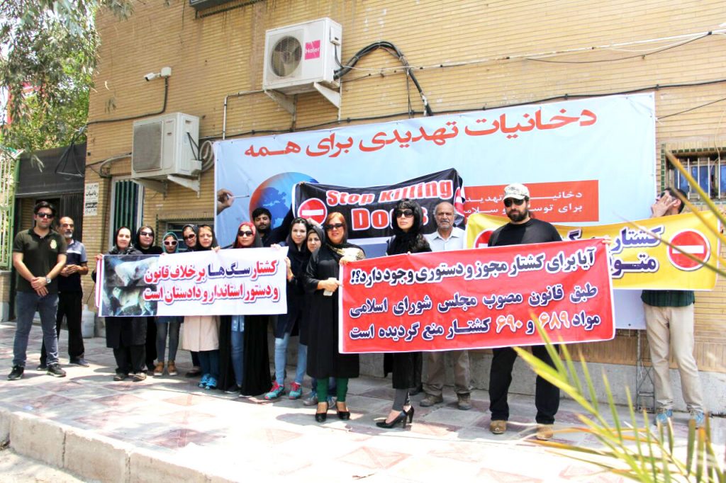 تصویر تجمع گروهی از حامیان حیوانات